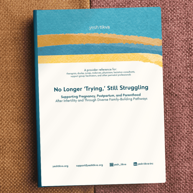 No Longer "Trying," Still Struggling: A Clinical Companion for Supporting Pregnancy, Postpartum, and Parenthood After Infertility and Diverse Family-Building Pathways (Softcover Book) - Image 1