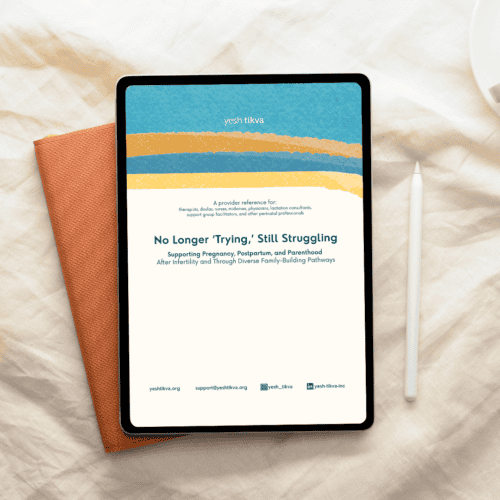 No Longer "Trying," Still Struggling: A Clinical Companion for Supporting Pregnancy, Postpartum, and Parenthood After Infertility and Diverse Family-Building Pathways (Ebook PDF Download)